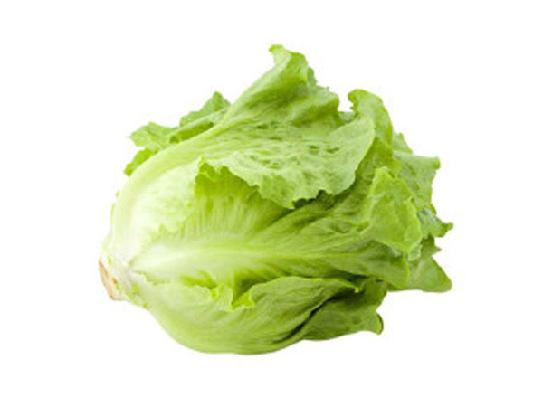 蔬菜粉加工及蔬菜中功能成分提取
